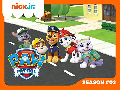 Melhor paw patrol em 2022 [com base em 50 avaliações de especialistas]