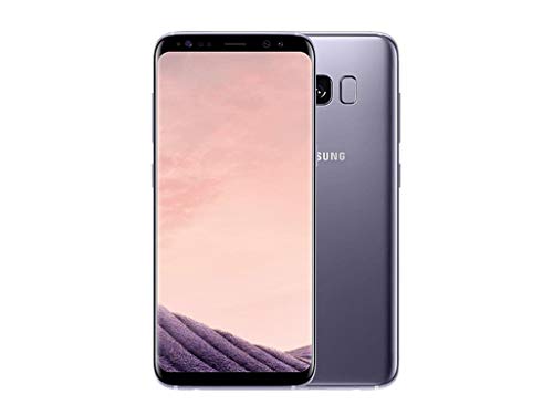 Samsung Galaxy S8 Plus 5.8 '' - 64GB, Orchid Gris (Reacondicionado)