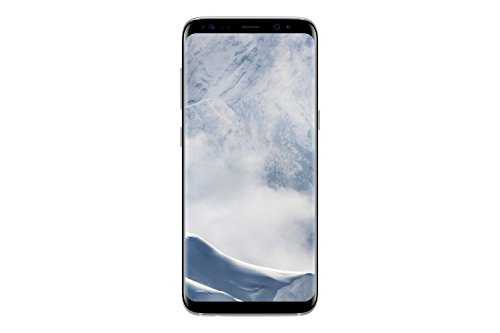 Samsung Galaxy S8 Smartphone débloqué 4G (Ecran : 5,8 pouces - 64 Go - 4 Go RAM - Simple Nano-SIM - Android Nougat 7.0) Silver (Reacondicionado)