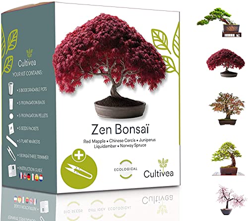 Melhor bonsai em 2022 [com base em 50 avaliações de especialistas]