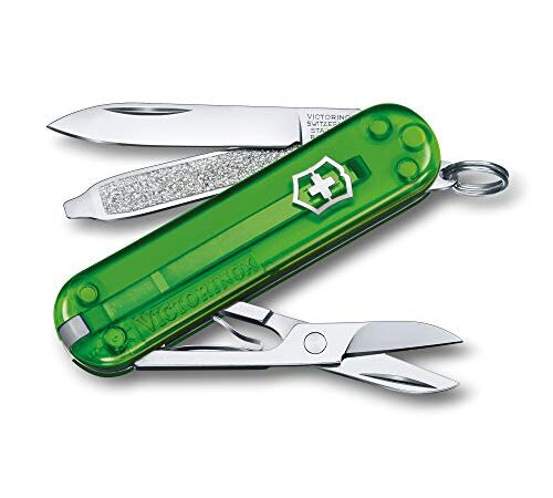 Victorinox 0 0.6223.T41G, Unisex-Adulto, Tea Verde, 58 mm