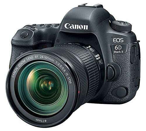 Canon EOS 6D MK II - Cámara Digital réflex de 26.2 MP (Pantalla táctil de 3.0'', WiFi, Bluetooth, Dual Pixel CMOS AF, vídeos Time-Lapse en 4K) Negro - Kit Cuerpo con Objetivo EF 24-105 IS STM