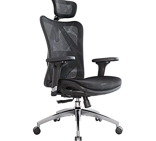 SIHOO Silla de Oficina Ergonómica, Silla de Escritorio, Respaldo Alto, Transpirable, Silla de Malla, con Reposabrazos 3D y Soporte Lumbar Ajustables(Negro)